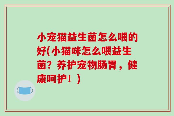 小宠猫益生菌怎么喂的好(小猫咪怎么喂益生菌？养护宠物肠胃，健康呵护！)