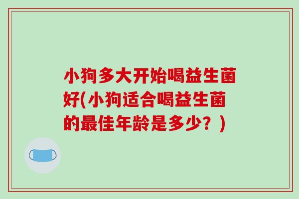 小狗多大开始喝益生菌好(小狗适合喝益生菌的最佳年龄是多少？)
