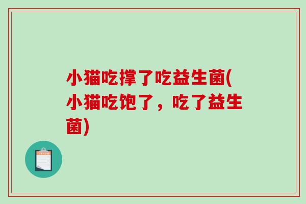小猫吃撑了吃益生菌(小猫吃饱了，吃了益生菌)