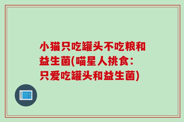 小猫只吃罐头不吃粮和益生菌(喵星人挑食：只爱吃罐头和益生菌)
