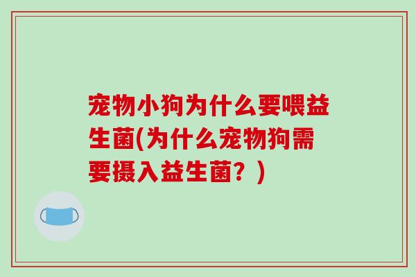 宠物小狗为什么要喂益生菌(为什么宠物狗需要摄入益生菌？)