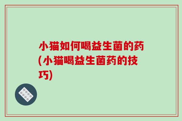 小猫如何喝益生菌的药(小猫喝益生菌药的技巧)