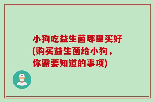 小狗吃益生菌哪里买好(购买益生菌给小狗，你需要知道的事项)