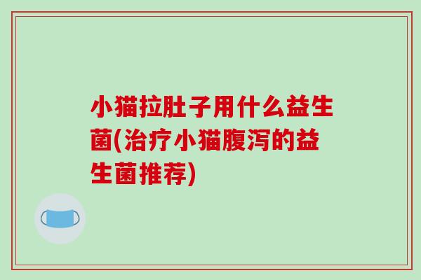 小猫拉肚子用什么益生菌(治疗小猫腹泻的益生菌推荐)