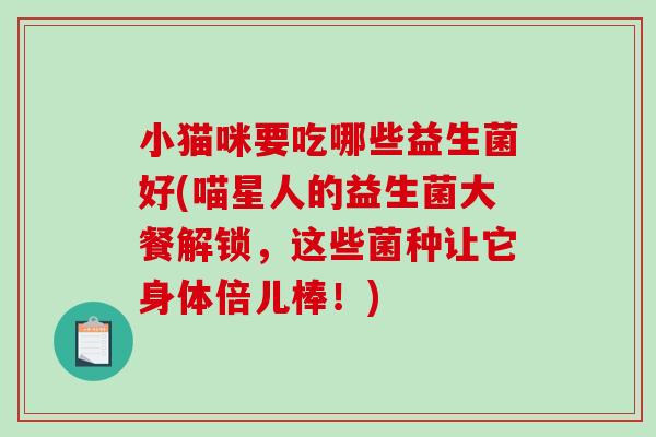 小猫咪要吃哪些益生菌好(喵星人的益生菌大餐解锁，这些菌种让它身体倍儿棒！)