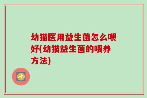 幼猫医用益生菌怎么喂好(幼猫益生菌的喂养方法)