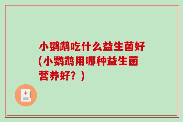 小鹦鹉吃什么益生菌好(小鹦鹉用哪种益生菌营养好?) 小鹦鹉吃什么益生菌好(小鹦鹉用哪种益生菌营养好?)