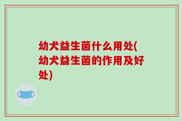 幼犬益生菌什么用处(幼犬益生菌的作用及好处)