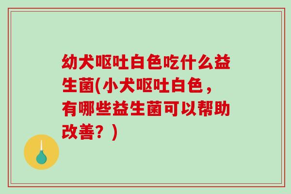 幼犬呕吐白色吃什么益生菌(小犬呕吐白色，有哪些益生菌可以帮助改善？)