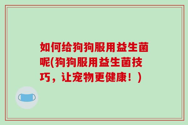 如何给狗狗服用益生菌呢(狗狗服用益生菌技巧，让宠物更健康！)