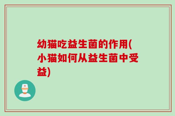 幼猫吃益生菌的作用(小猫如何从益生菌中受益)