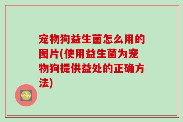 宠物狗益生菌怎么用的图片(使用益生菌为宠物狗提供益处的正确方法)