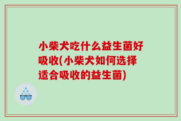 小柴犬吃什么益生菌好吸收(小柴犬如何选择适合吸收的益生菌)