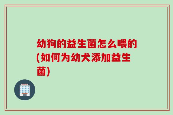 幼狗的益生菌怎么喂的(如何为幼犬添加益生菌)