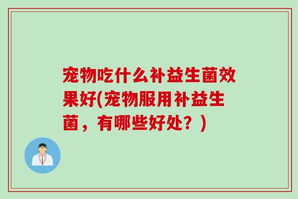 宠物吃什么补益生菌效果好(宠物服用补益生菌，有哪些好处？)