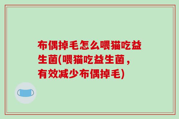 布偶掉毛怎么喂猫吃益生菌(喂猫吃益生菌，有效减少布偶掉毛)