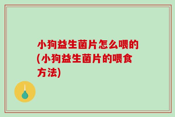 小狗益生菌片怎么喂的(小狗益生菌片的喂食方法)