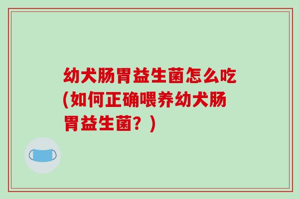 幼犬肠胃益生菌怎么吃(如何正确喂养幼犬肠胃益生菌？)