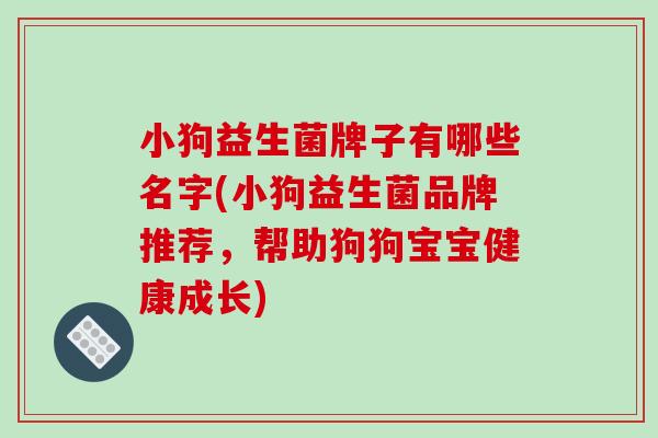 小狗益生菌牌子有哪些名字(小狗益生菌品牌推荐，帮助狗狗宝宝健康成长)
