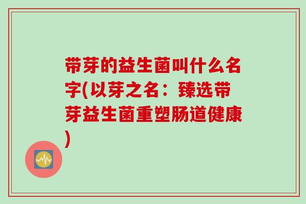 带芽的益生菌叫什么名字(以芽之名：臻选带芽益生菌重塑肠道健康)
