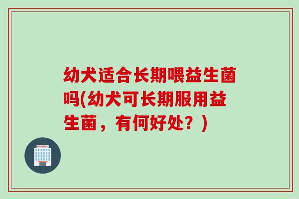 幼犬适合长期喂益生菌吗(幼犬可长期服用益生菌，有何好处？)