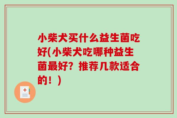 小柴犬买什么益生菌吃好(小柴犬吃哪种益生菌最好？推荐几款适合的！)
