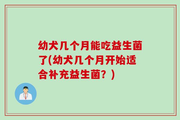 幼犬几个月能吃益生菌了(幼犬几个月开始适合补充益生菌？)