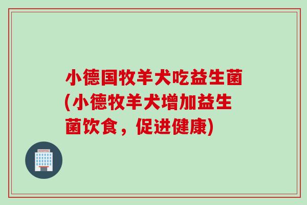 小德国牧羊犬吃益生菌(小德牧羊犬增加益生菌饮食，促进健康)