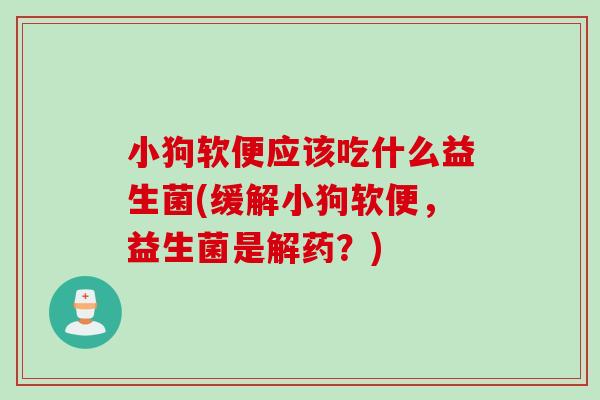 小狗软便应该吃什么益生菌(缓解小狗软便，益生菌是解药？)