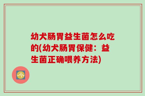 幼犬肠胃益生菌怎么吃的(幼犬肠胃保健：益生菌正确喂养方法)