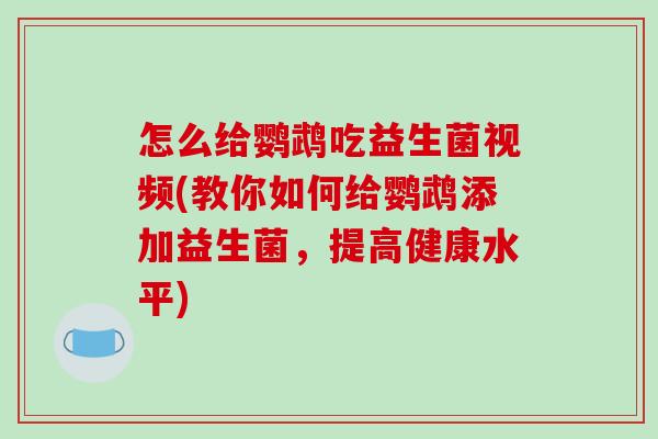 怎么给鹦鹉吃益生菌视频(教你如何给鹦鹉添加益生菌，提高健康水平)