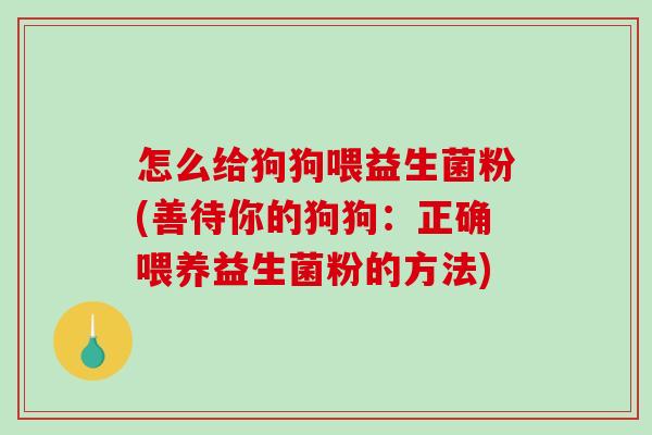 怎么给狗狗喂益生菌粉(善待你的狗狗：正确喂养益生菌粉的方法)