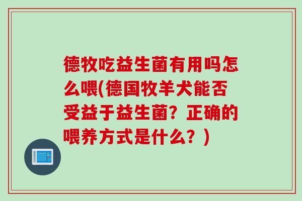 德牧吃益生菌有用吗怎么喂(德国牧羊犬能否受益于益生菌？正确的喂养方式是什么？)