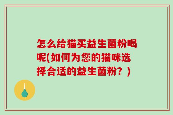 怎么给猫买益生菌粉喝呢(如何为您的猫咪选择合适的益生菌粉？)