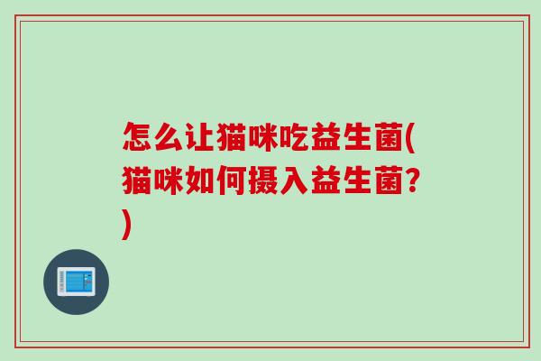 怎么让猫咪吃益生菌(猫咪如何摄入益生菌？)
