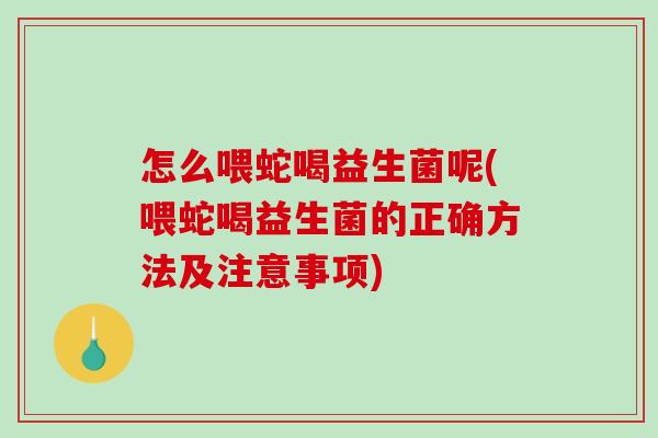 怎么喂蛇喝益生菌呢(喂蛇喝益生菌的正确方法及注意事项)