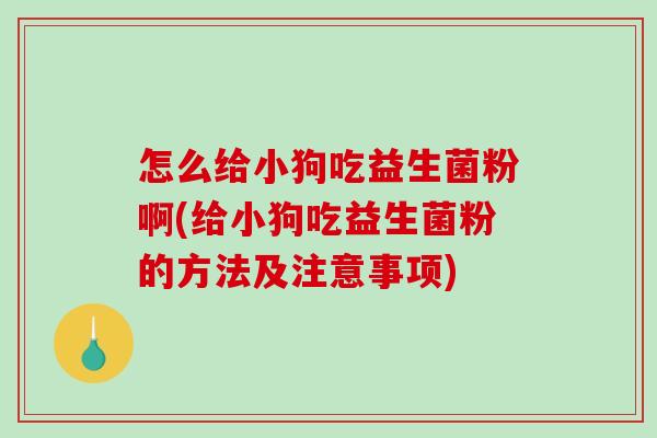 怎么给小狗吃益生菌粉啊(给小狗吃益生菌粉的方法及注意事项)