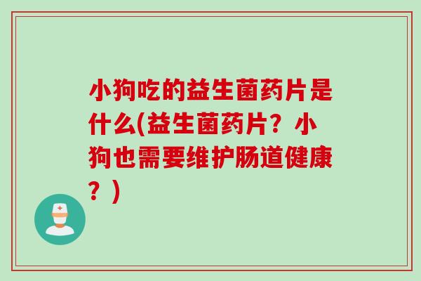 小狗吃的益生菌药片是什么(益生菌药片？小狗也需要维护肠道健康？)