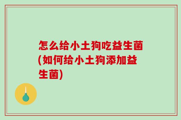 怎么给小土狗吃益生菌(如何给小土狗添加益生菌)