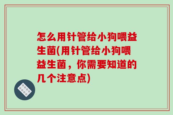 怎么用针管给小狗喂益生菌(用针管给小狗喂益生菌，你需要知道的几个注意点)