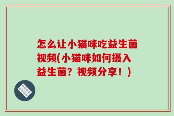 怎么让小猫咪吃益生菌视频(小猫咪如何摄入益生菌？视频分享！)