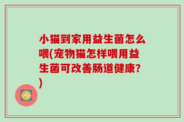 小猫到家用益生菌怎么喂(宠物猫怎样喂用益生菌可改善肠道健康？)
