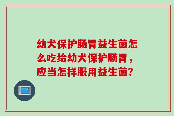 幼犬保护肠胃益生菌怎么吃给幼犬保护肠胃，应当怎样服用益生菌？