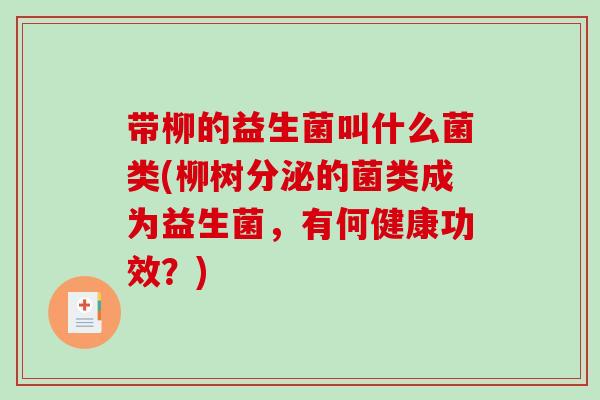 带柳的益生菌叫什么菌类(柳树分泌的菌类成为益生菌，有何健康功效？)