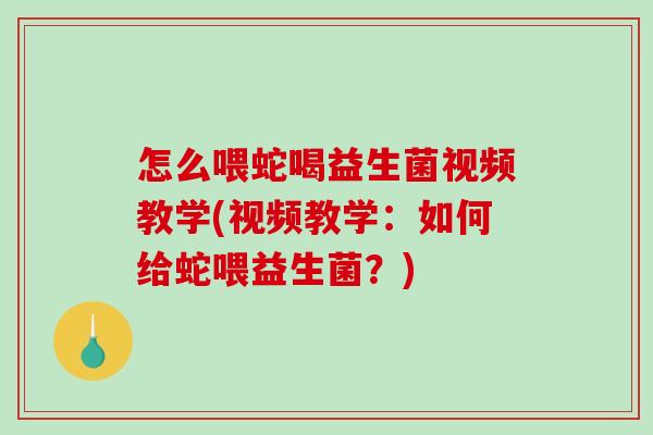 怎么喂蛇喝益生菌视频教学(视频教学：如何给蛇喂益生菌？)