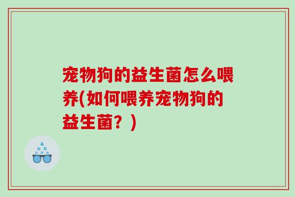 宠物狗的益生菌怎么喂养(如何喂养宠物狗的益生菌？)