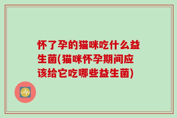 怀了孕的猫咪吃什么益生菌(猫咪怀孕期间应该给它吃哪些益生菌)