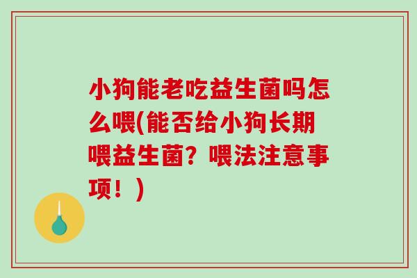 小狗能老吃益生菌吗怎么喂(能否给小狗长期喂益生菌？喂法注意事项！)