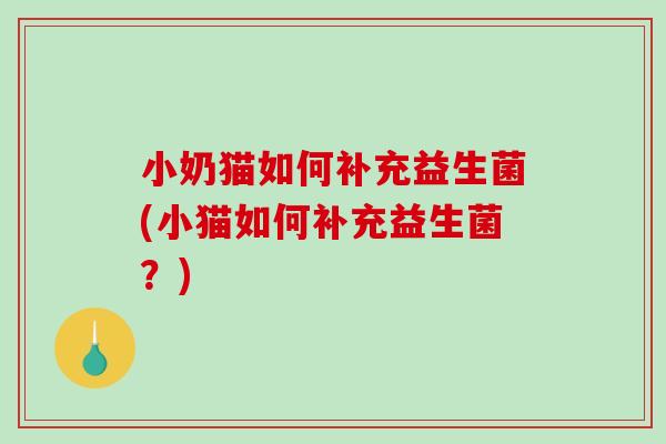 小奶猫如何补充益生菌(小猫如何补充益生菌?) 小奶猫如何补充益生菌(小猫如何补充益生菌?)