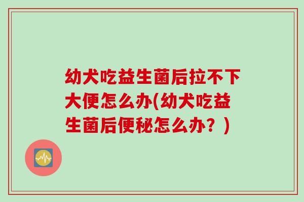 幼犬吃益生菌后拉不下大便怎么办(幼犬吃益生菌后便秘怎么办？)